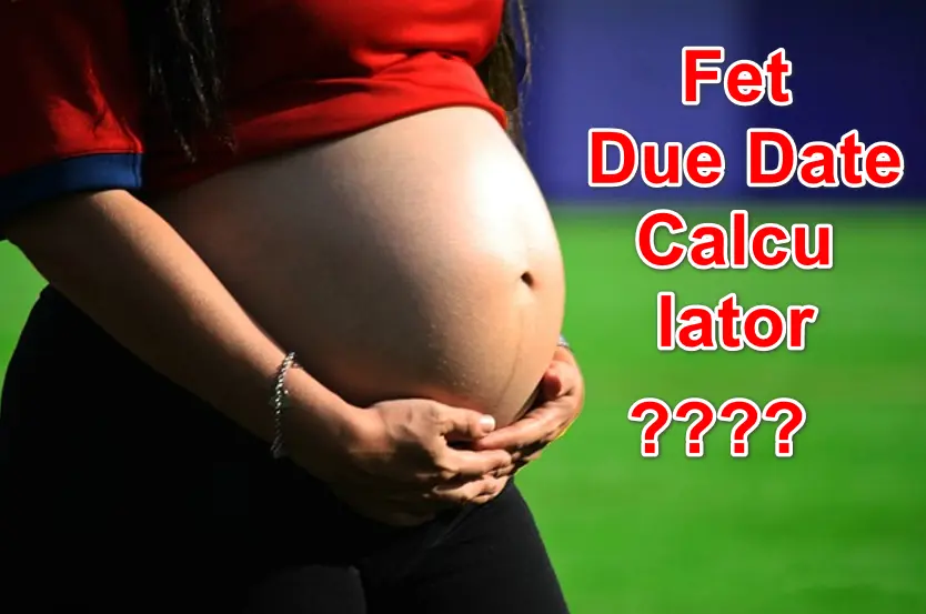 Fet Due Date Calculator