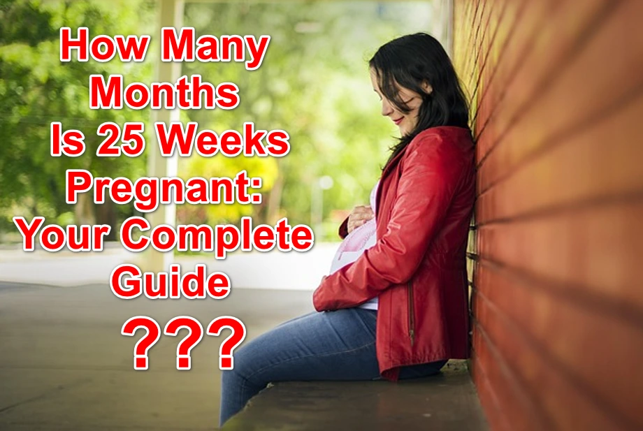 How Many Months Is 25 Weeks Pregnant Your Complete Guide