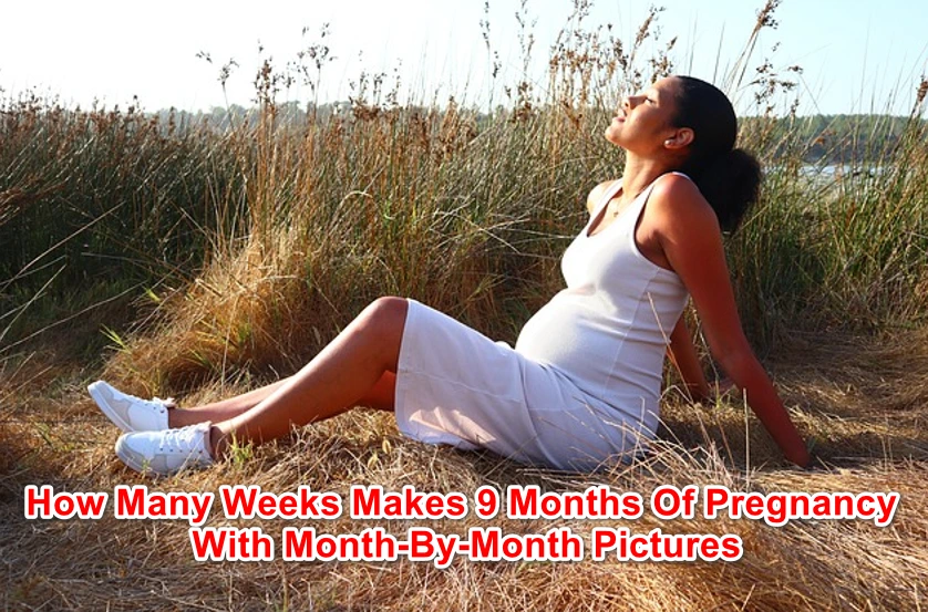 How Many Weeks Makes 9 Months Of Pregnancy With Month-By-Month Pictures