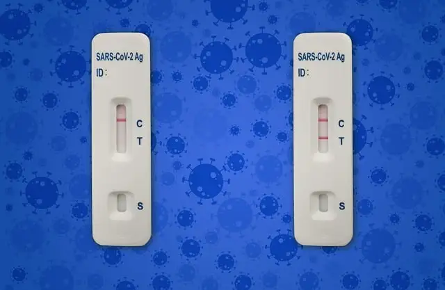 Positive pregnancy test pictures