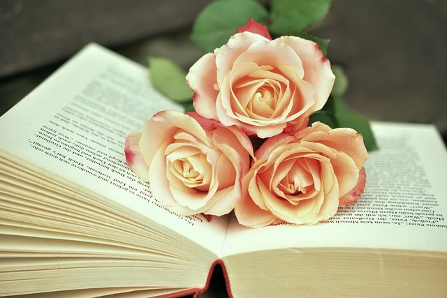 memory book