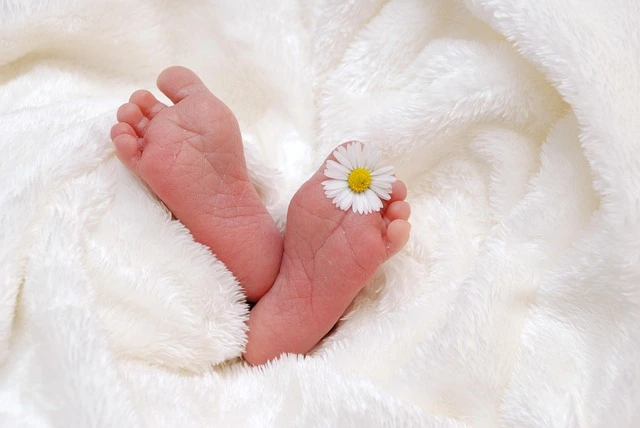 birth planning