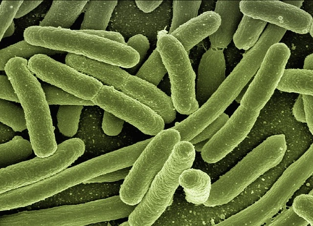 urinary tract infections