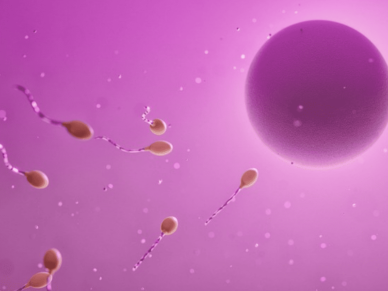 sperm 