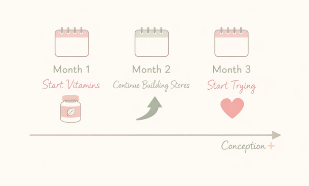 3-month timeline