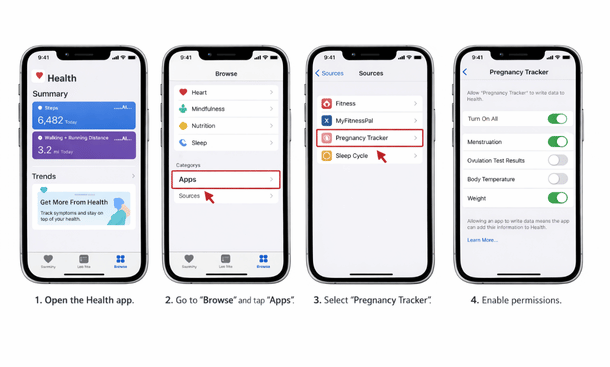 Apple Health Permission Tutorial