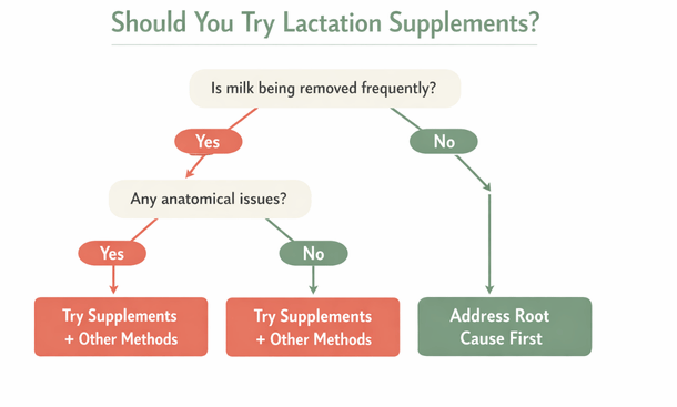 Lactation Decision Tree