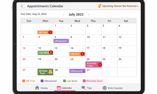 Pregnancy App Calendar View