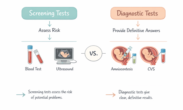 Pregnancy Testing Types Diagram