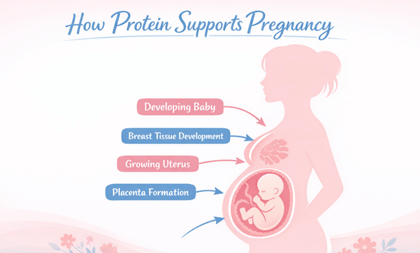 Pregnancy Protein Benefits
