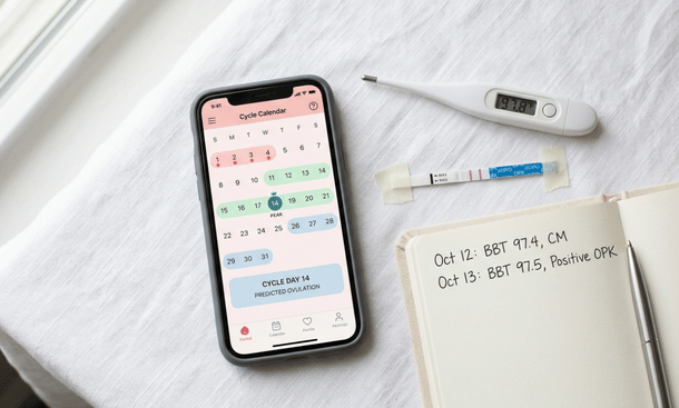 Fertility app flat-lay