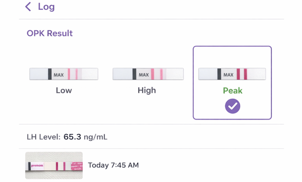 OPK Result Interface