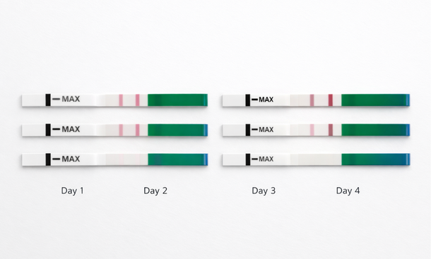 Pregnancy Test Progression